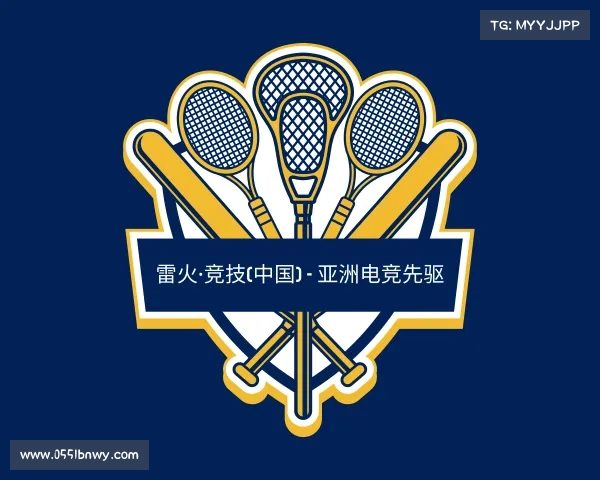 网页版雷火·竞技(中国) - 亚洲电竞先驱